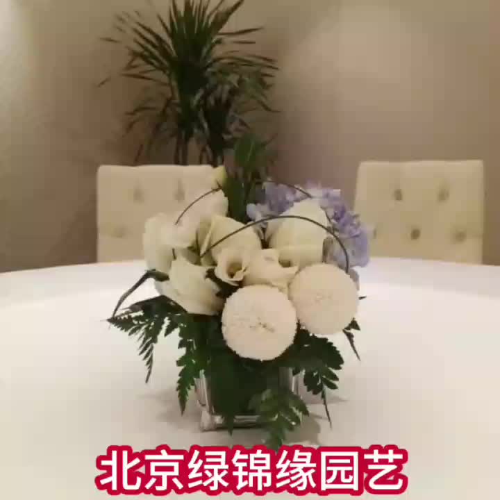 北京绿植花卉租摆北京绿锦缘园艺有限公司