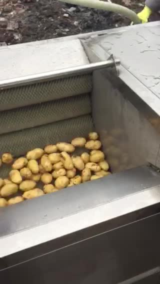 土豆清洗去皮毛辊清洗机