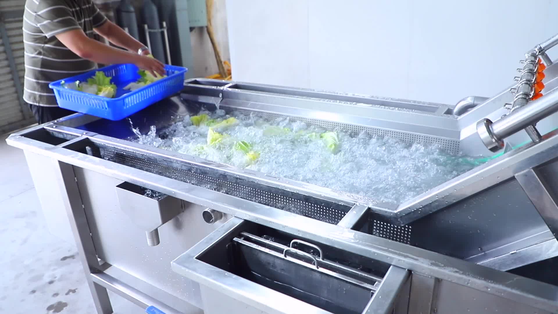 果蔬气泡清洗机 洗菜机 净菜设备