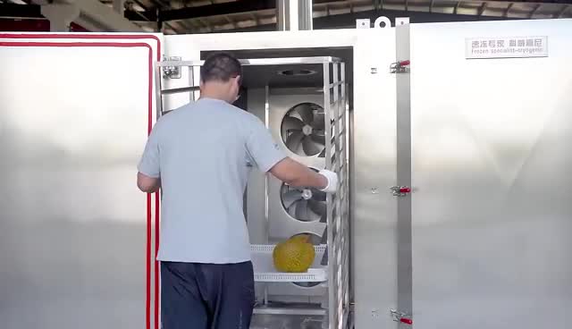 液氮冷冻榴莲柜式速冻机按需定制