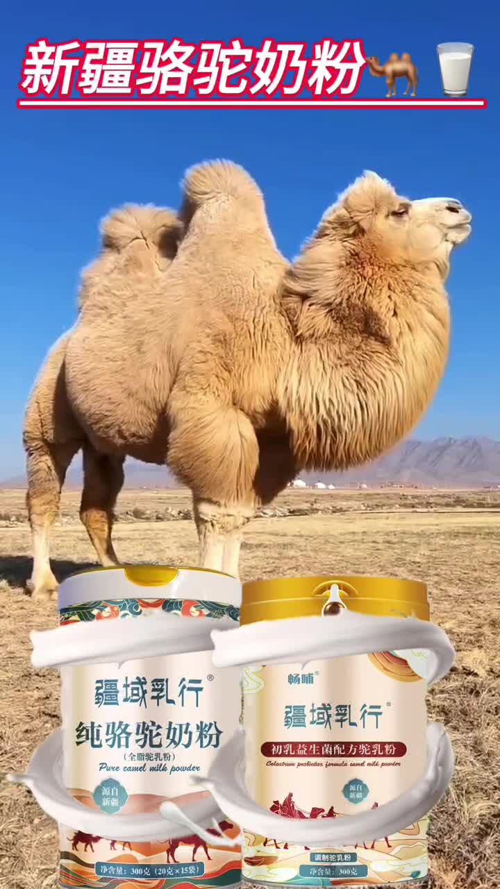 新疆新天雪乳业畅哺纯骆驼奶粉