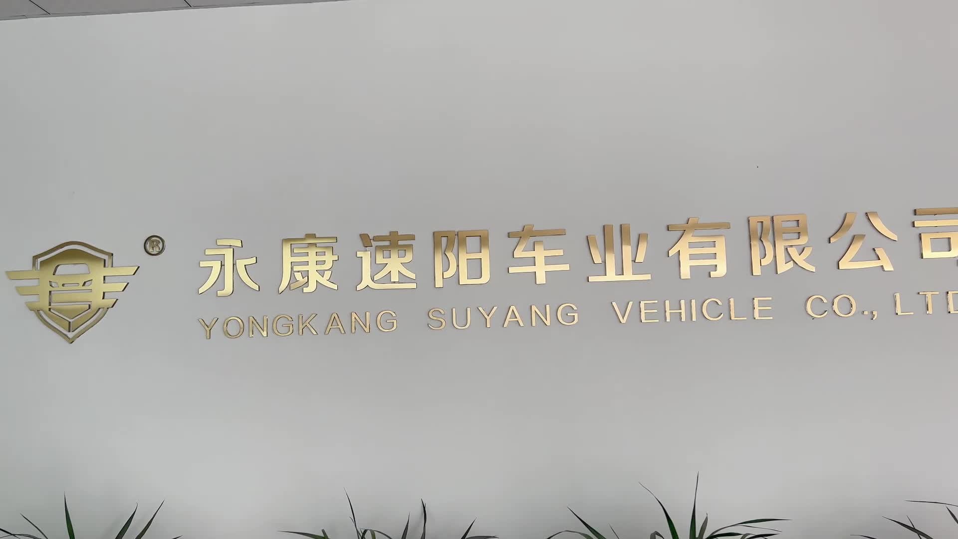 速陽(yáng)車(chē)業(yè)卡丁車(chē)工廠家視頻介紹