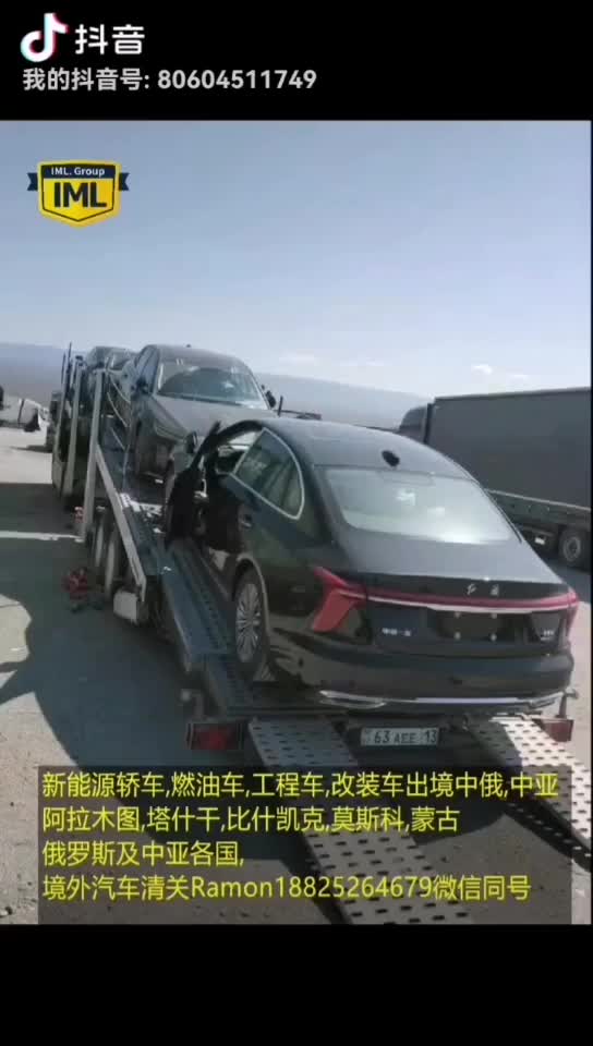 中俄中亚跨境汽运卡航整车拼车笼车超限车