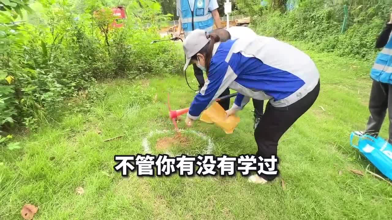 四害消杀0基础系统培训加盟