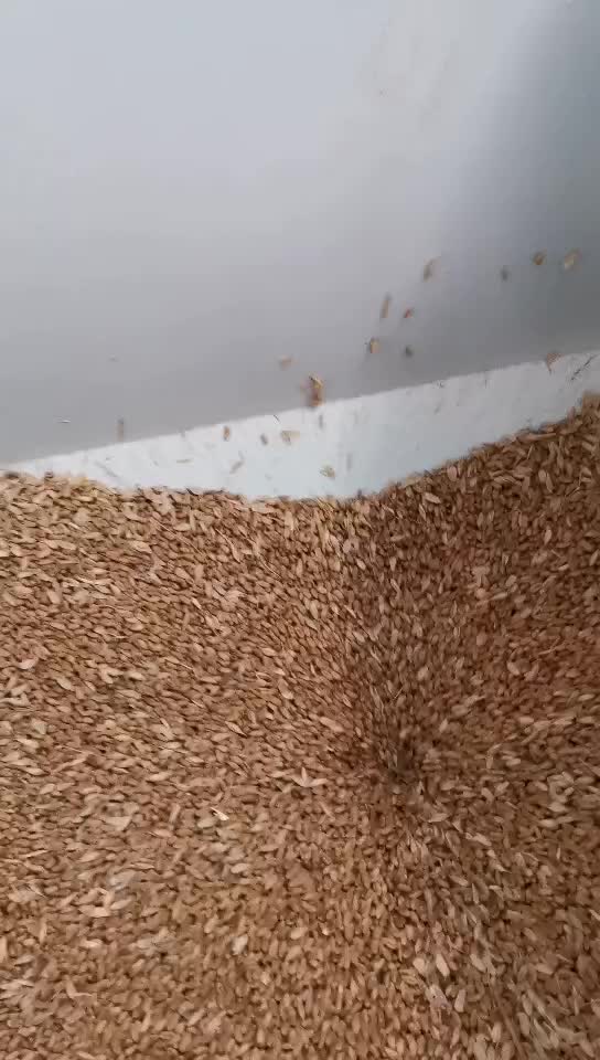 小麦干法脱皮机