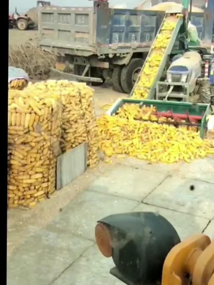 大型自走式玉米脱粒机