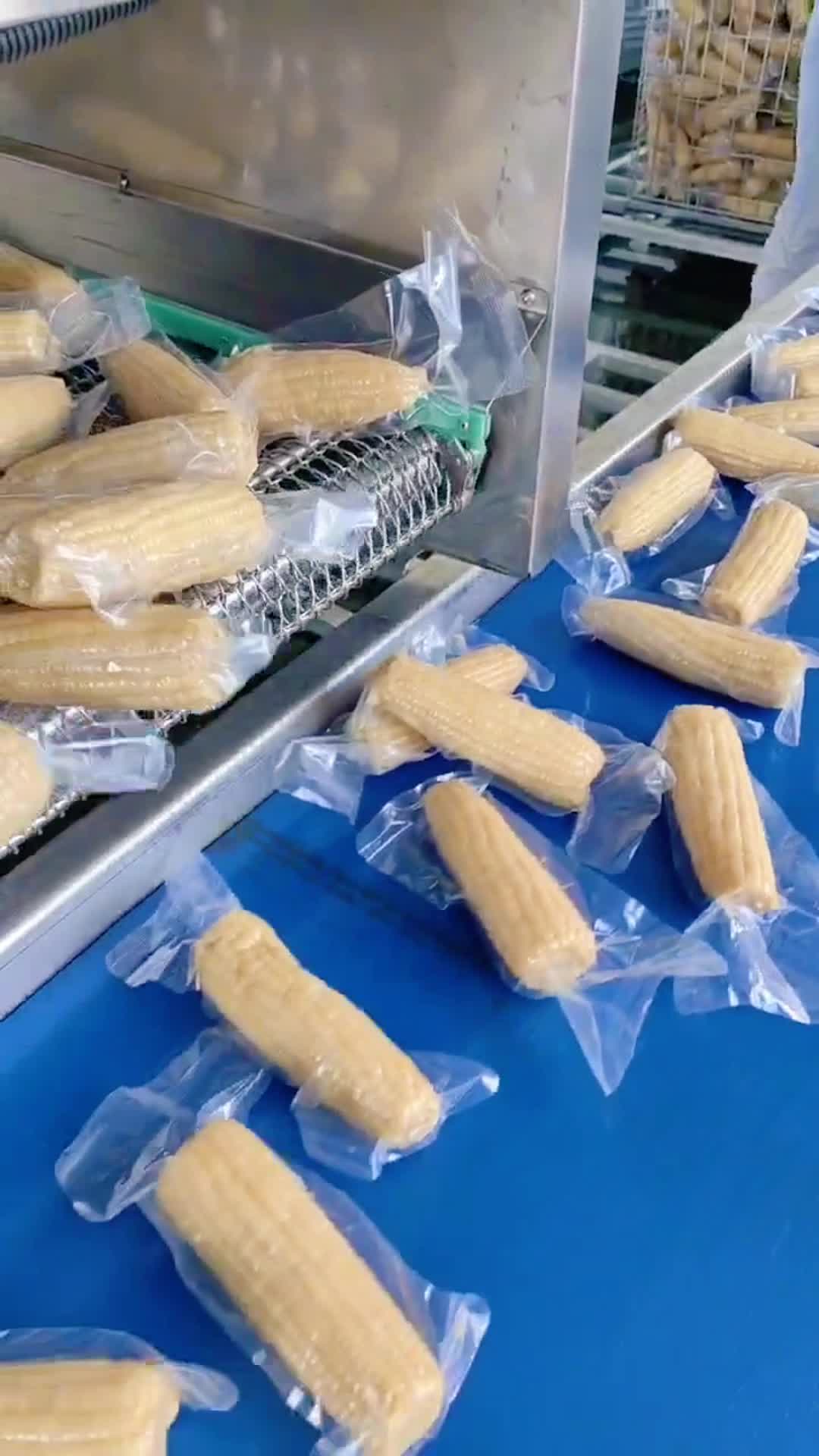 鲜食甜糯玉米生产线明贵玉米加工设备