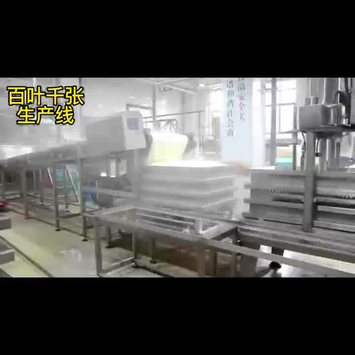 豆制品机械设备，永进内酯豆腐视频