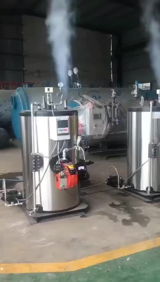 燃油气蒸汽锅炉实验现场蒸汽发生器视频