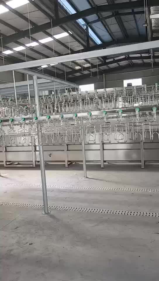  Zhengshun poultry slaughtering line chicken, duck and goose slaughtering equipment