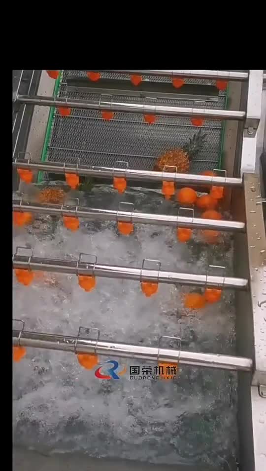 水果蔬菜清洗机，果蔬气泡清洗机操作视频