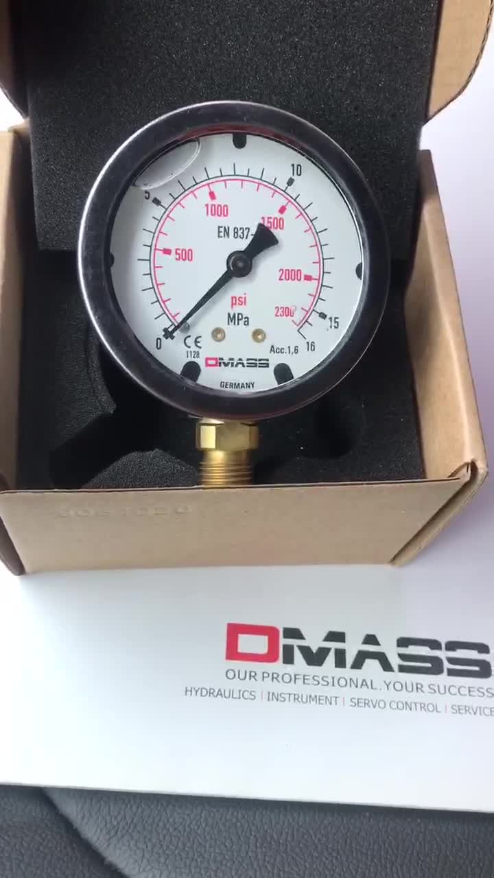 原装DMASS压力表0-16MPA