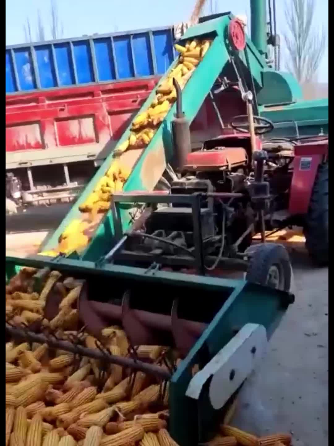 大型玉米脱粒机视频