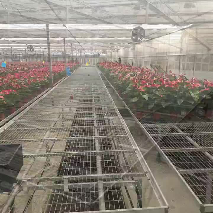 大棚花卉移动种植苗床