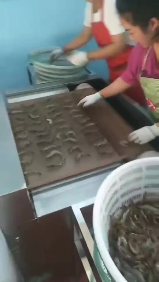 微波大虾烘烤虾干制造