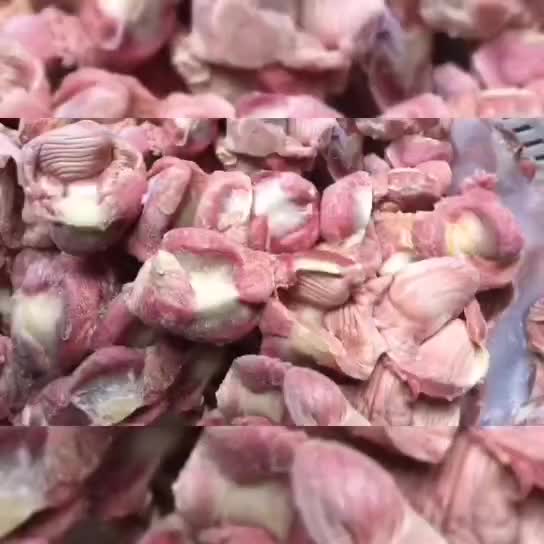 冷冻鸡胗鸡肫_厂家货源视频看货_冻鸡产品